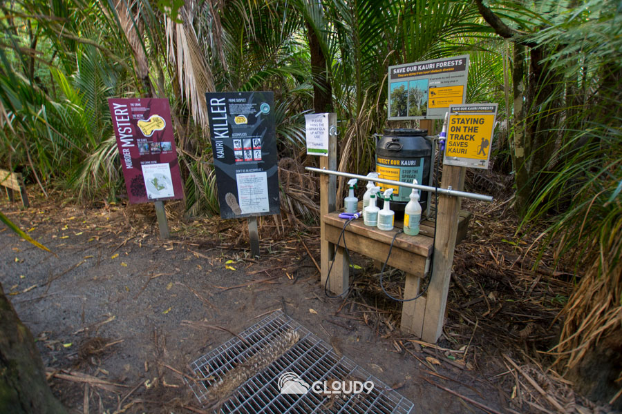 Kauri Diebackの靴底の泥を落とす場所